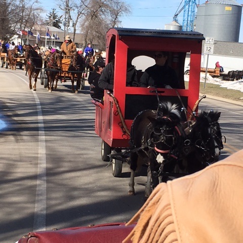Sleigh and Cutter Parade, Waseca