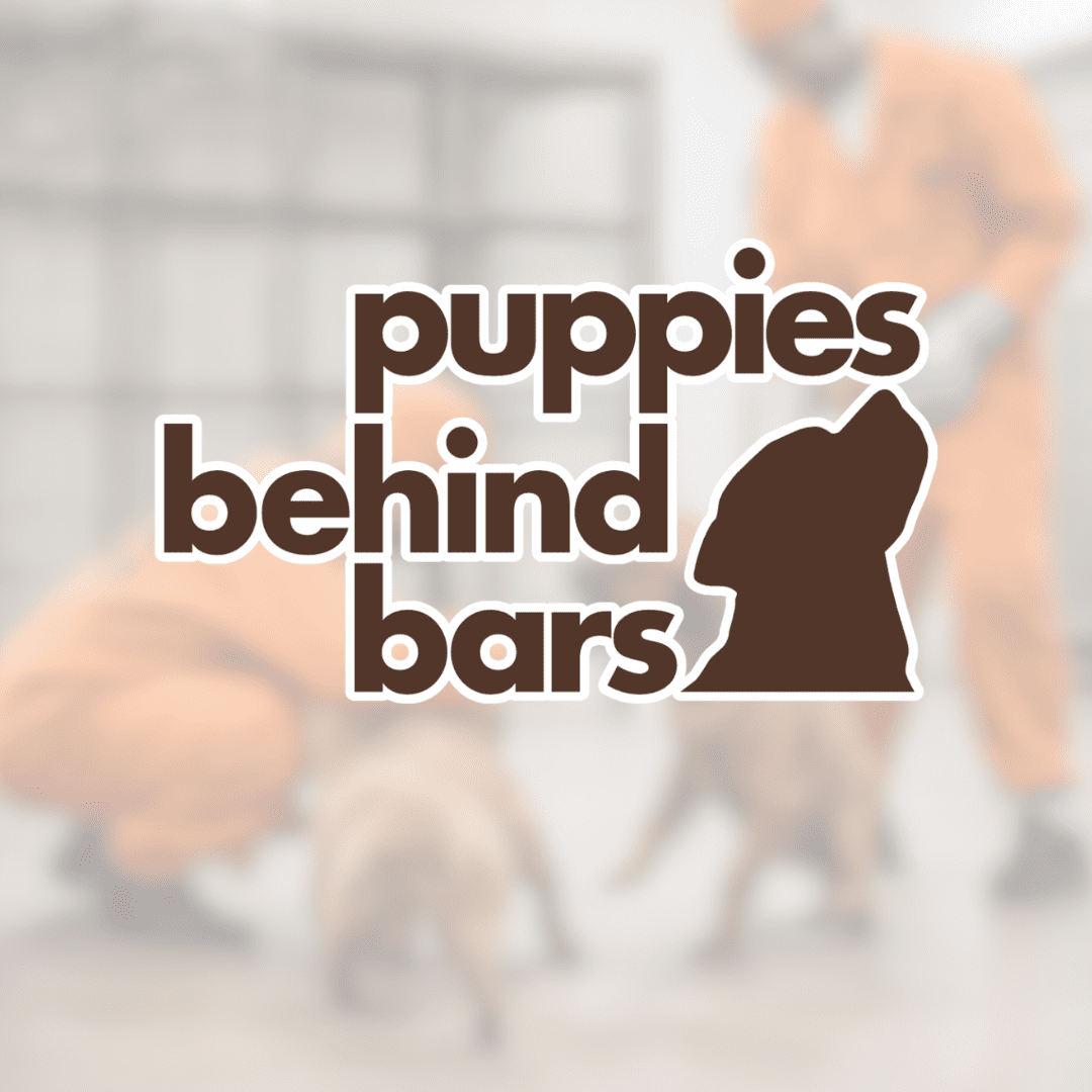 Puppies Behind Bars