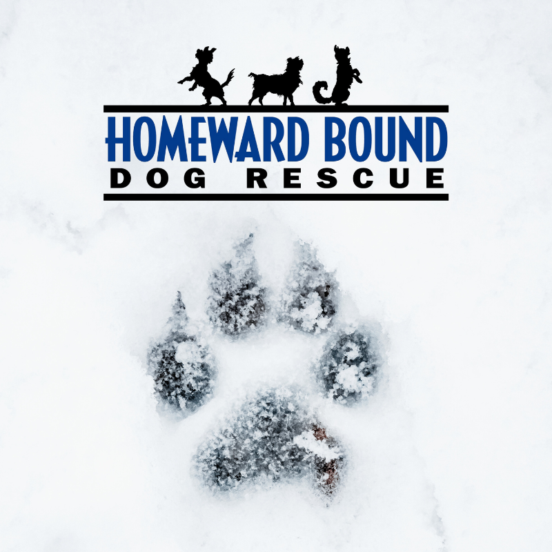 Homeward Bound Dog Rescue