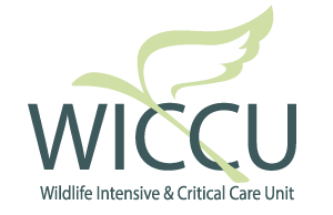 Wildlife Intensive and Critical Care Unit